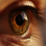 Apply tufted false lashes to achieve a personalized look, adding volume exactly where it is needed