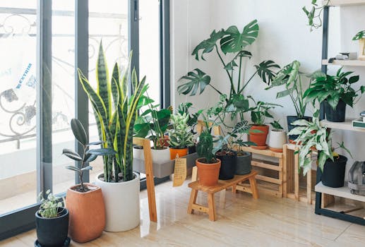 Vary the types of houseplants you use in your decor, combining different shapes, sizes and colors of leaves.
